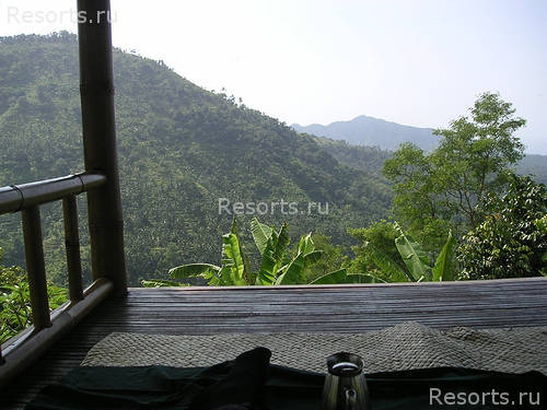 ALiLa Manggis boutique 20
